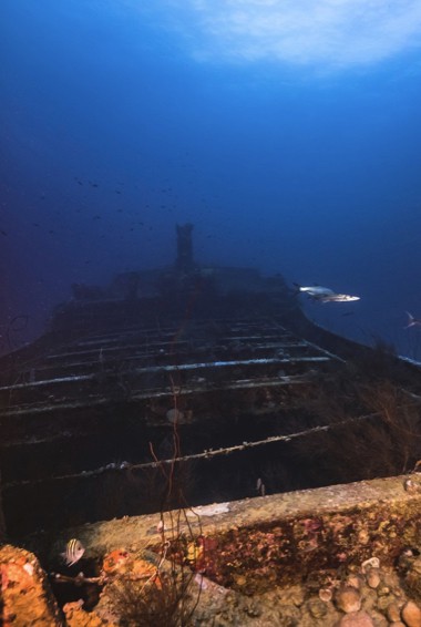 The Superior Producer wreck in Curaçao