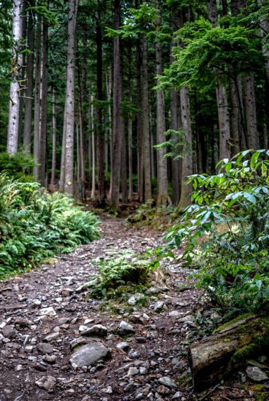 一个线索了格劳斯山在加拿大温哥华