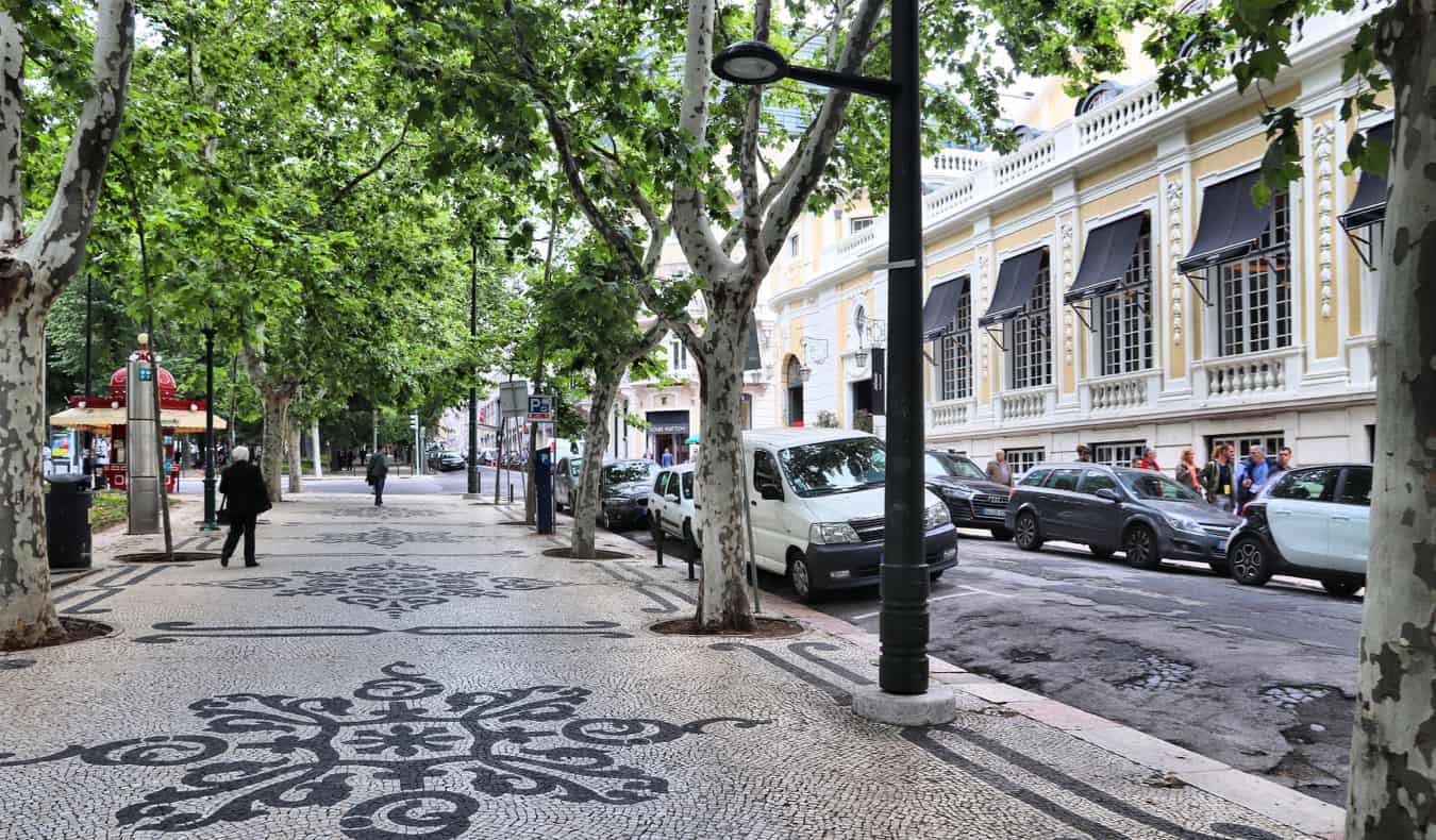 A wide, grey stone street lined by trees in Lisbon, Portugal