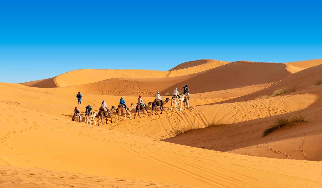 line of people riding camels through the desert