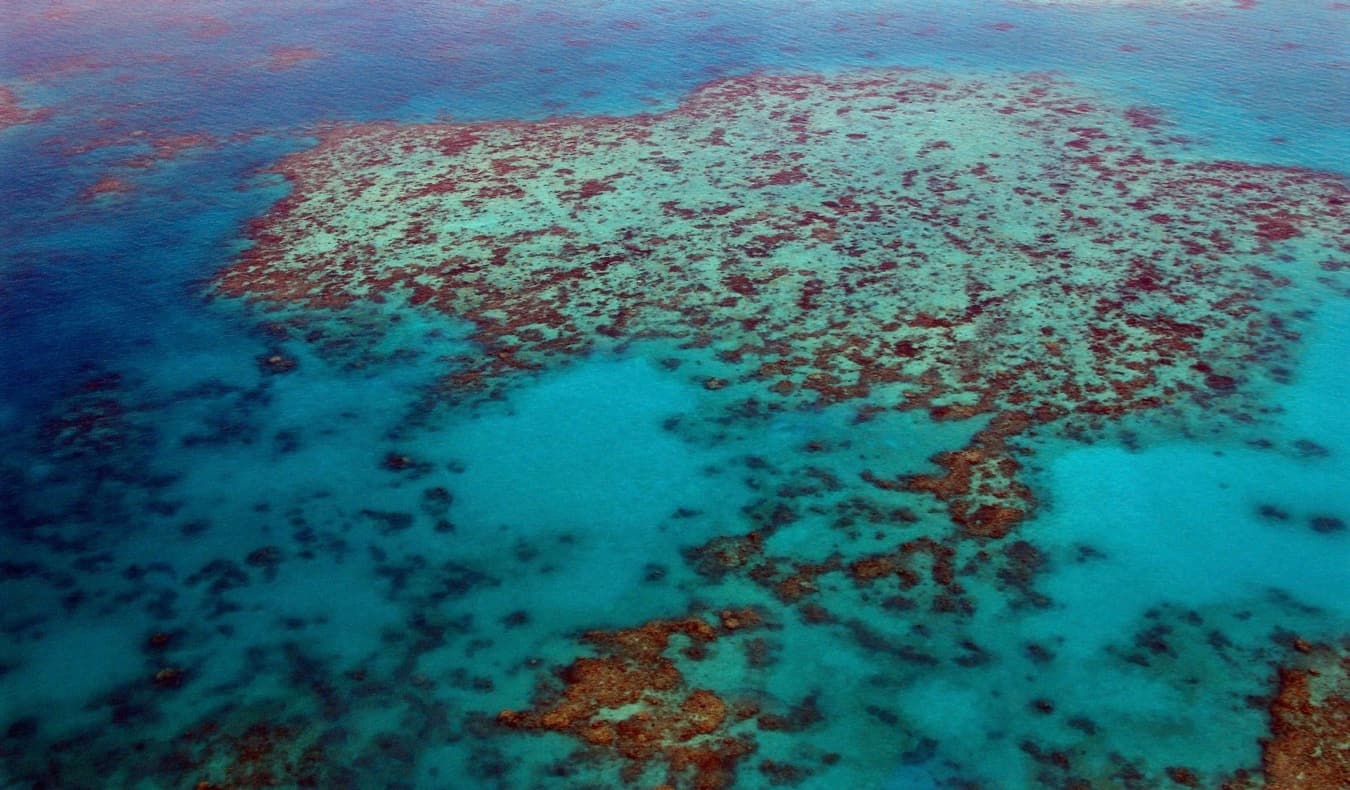 How to Dive the Great Barrier Reef (Updated 2024)