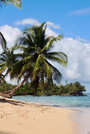 The beach of Bocas del Toro in Panama