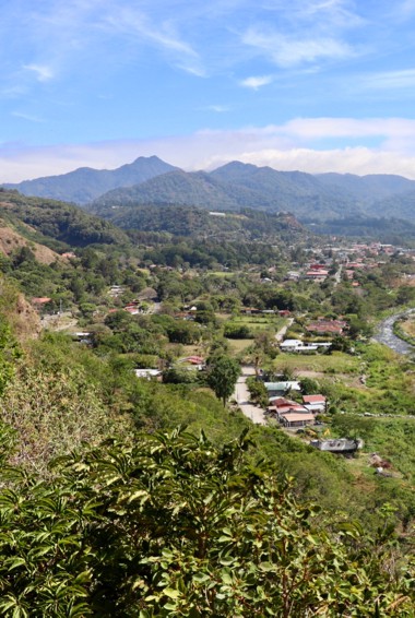 The lush greenery around Boquete, Panama