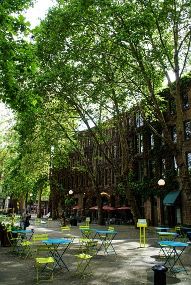 leafy square with outdoor seating and surrounded by ivy covered buildings