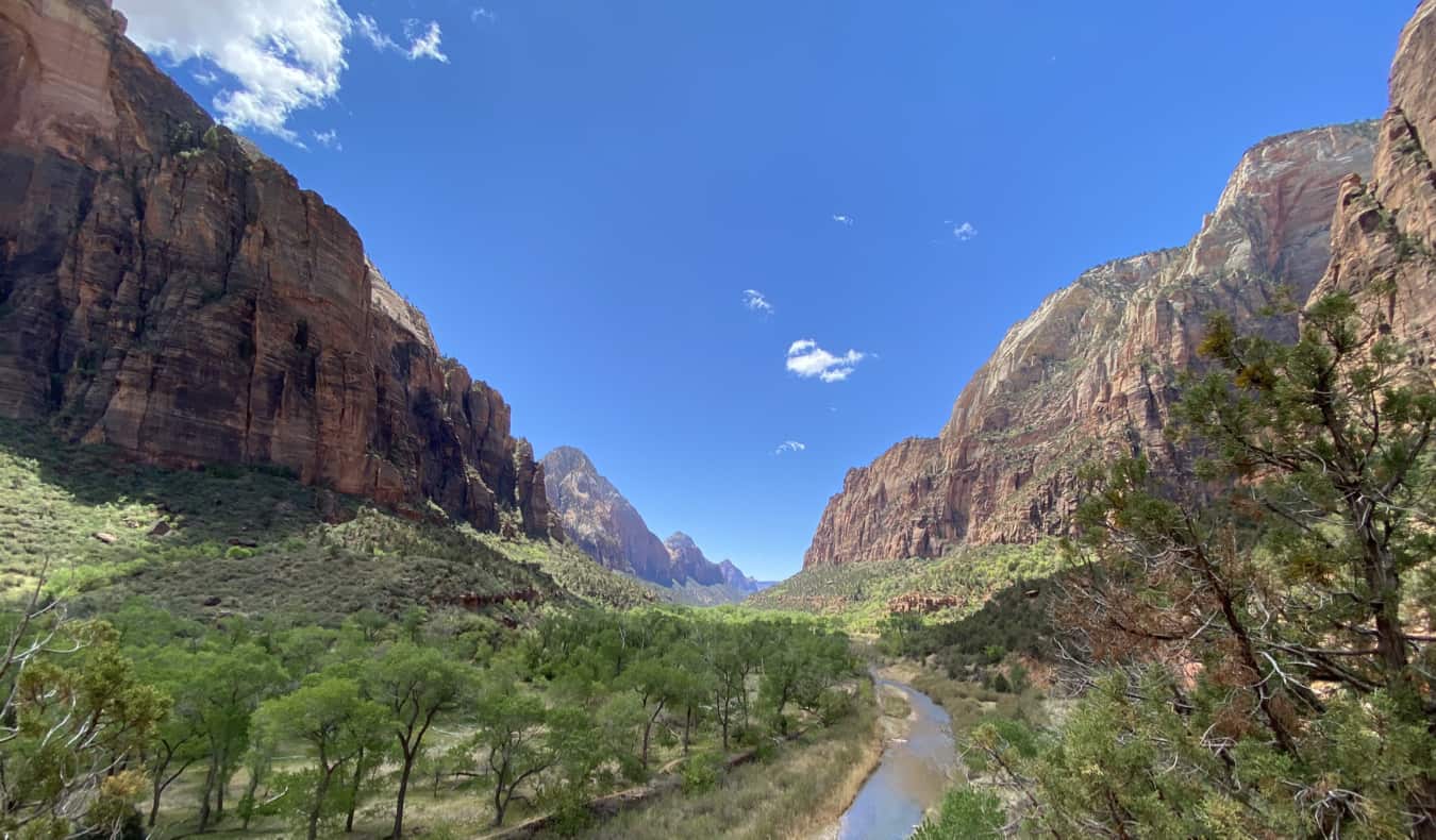 A stunning narrow canyon surrounded by tall cliffs in the USA