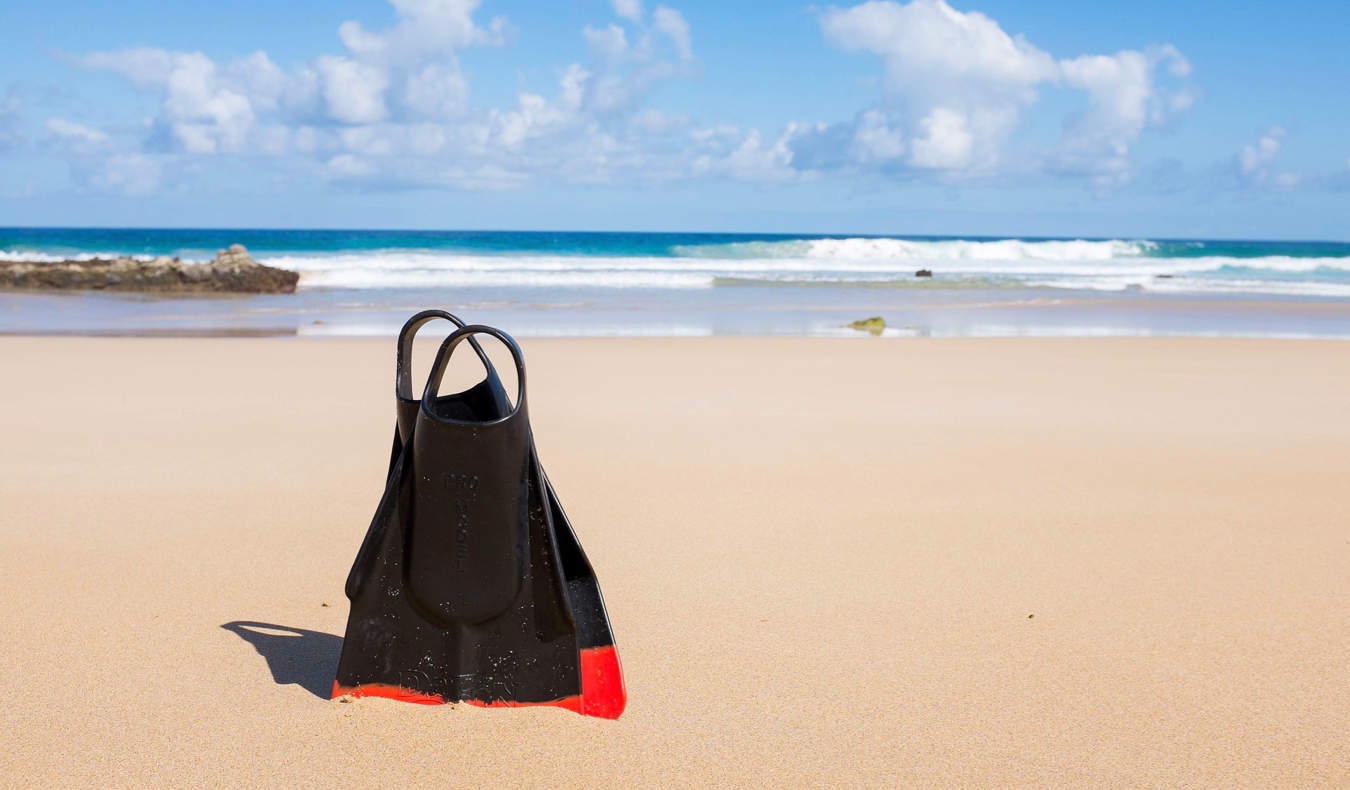 Scuba fins in the sand on a beautiful beach by the ocean