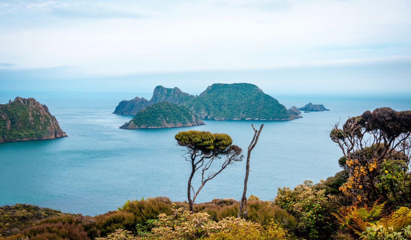 A view of Stewart Island in New Zealand