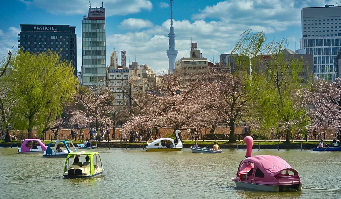 People on the lake having fun in Ueno Park in Tokyo, Japan