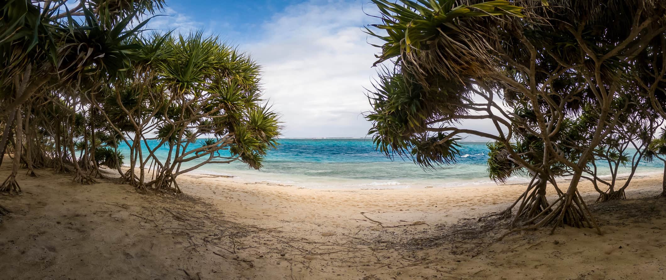 A sandy white beach in Vanuatu, with crystal-clear water and tropical plants framing the view