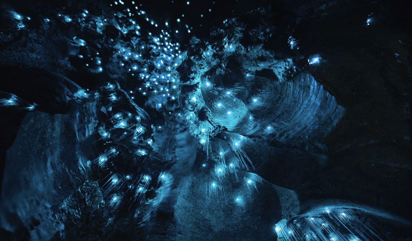 Glow worm cave in Waitomo, New Zealand