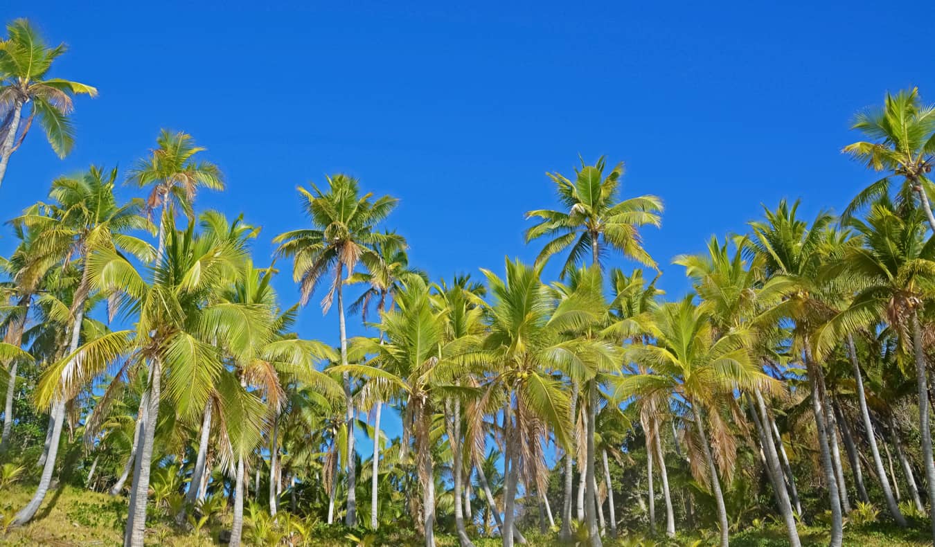 The tiny island of Beachcomber in the Yasawa Islands in Fiji