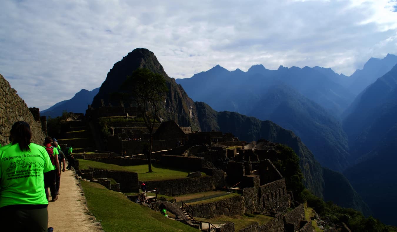 Hikers wearing green shirts taking an alpaca tour in Machu Picchu, Peru