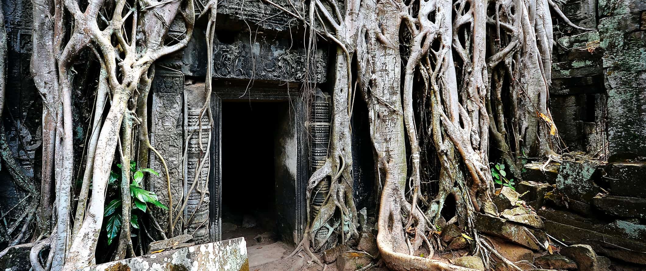 Overgrown door with large tree roots surrounding it in the temple complex of Ta Prohm at Angkor Wat in Cambodia