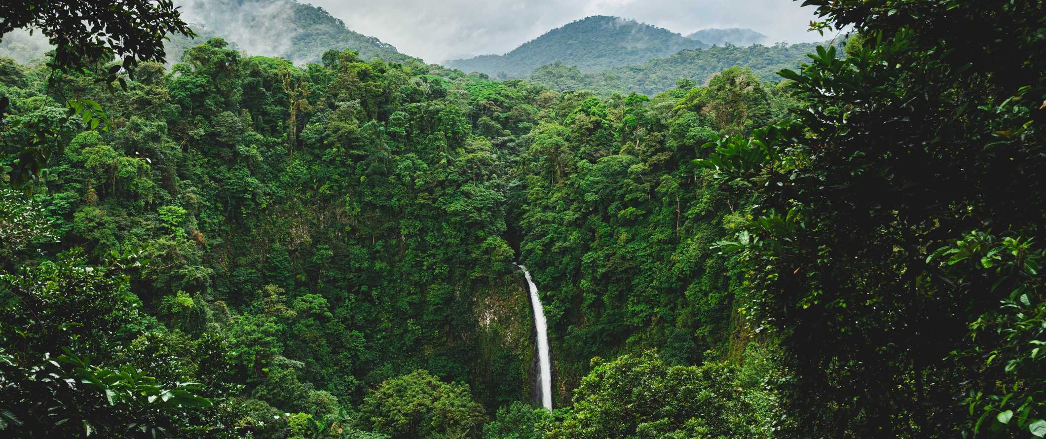 The famous La Fortuna waterfall cascading through the bright green forests near Arenal in Costa Rica