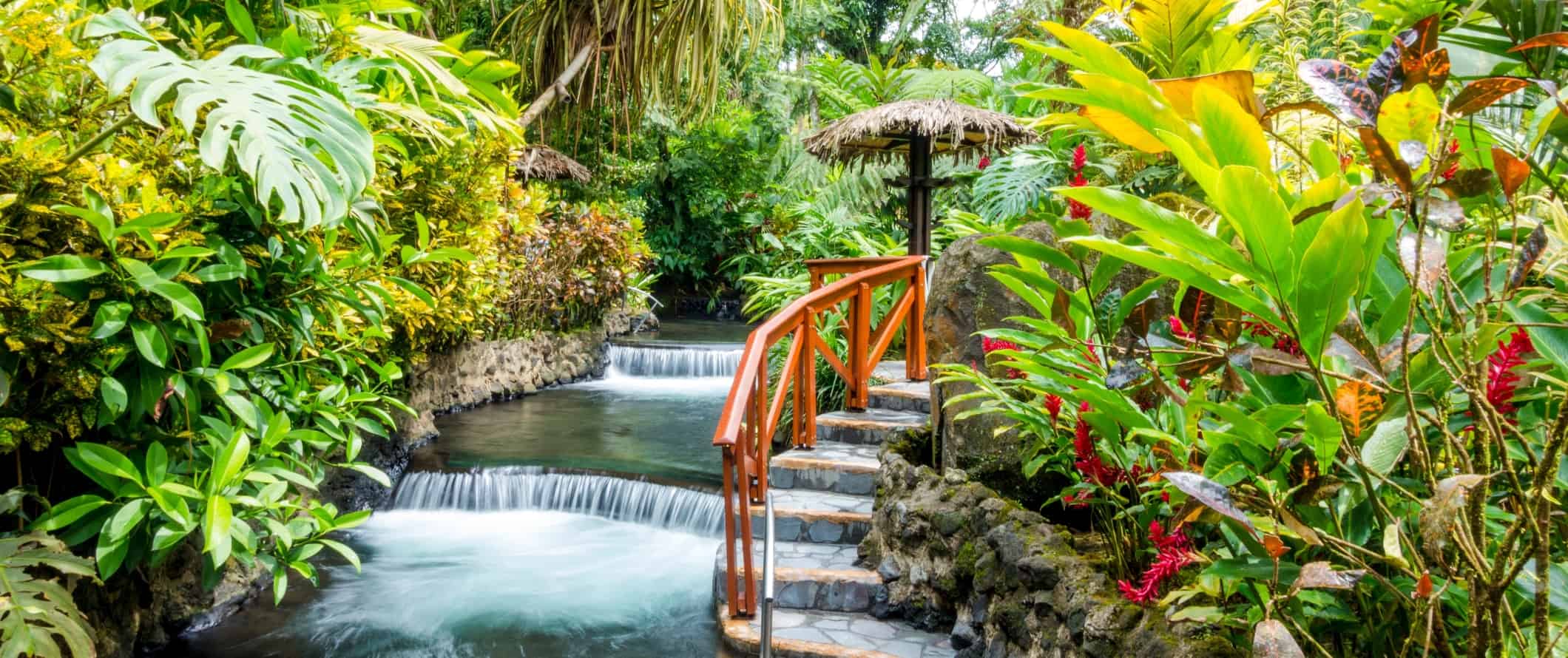 A river flowing through the rainforest at the Tabacón Resort hot springs in Costa Rica