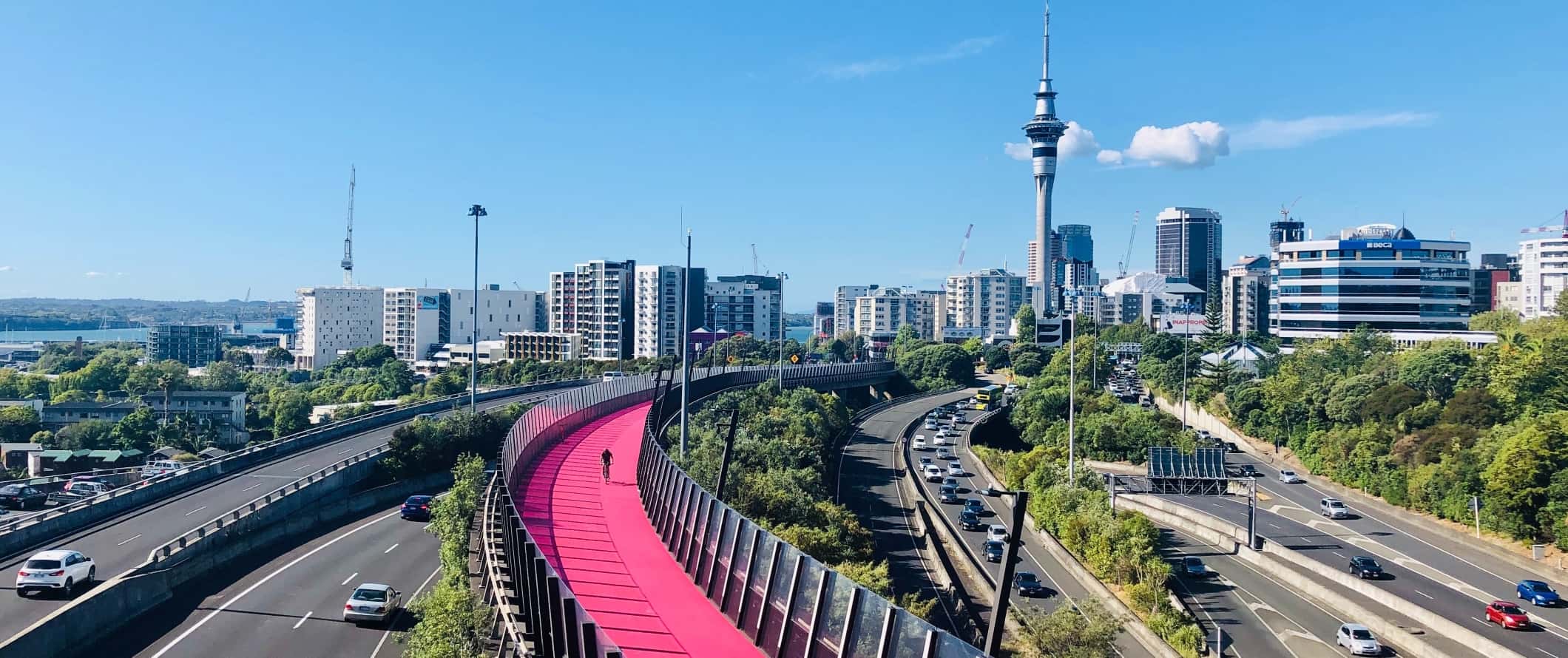 Multiple highways and pink bicycle highway in Auckland, New Zealand.