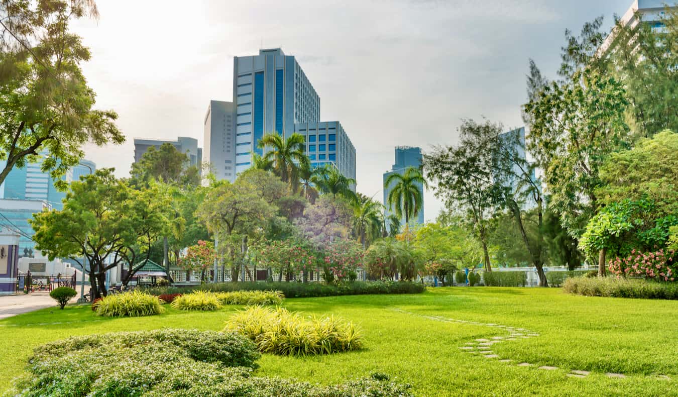 The green, lush grass and trees of the sprawling Lumpini Park in Bangkok, Thailand