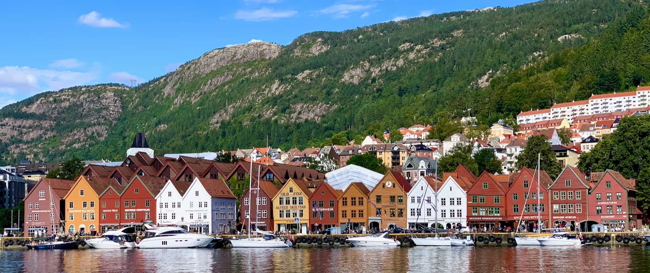 Bergen - Rain City  Grind - Ei reise gjennom natur og kultur i Vestland