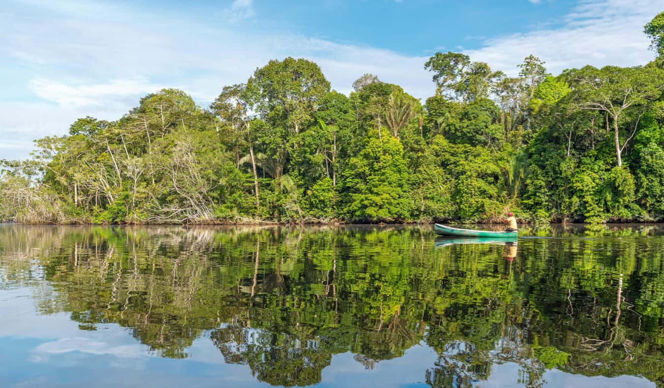 Rainforest in Brazil - Jungle Cruise on the  River 