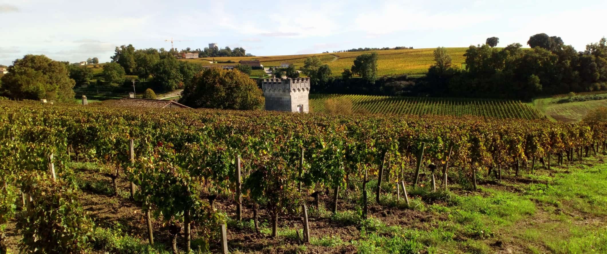 A vineyard, small historic castle tower, and rolling hills in Saint Emilion, France