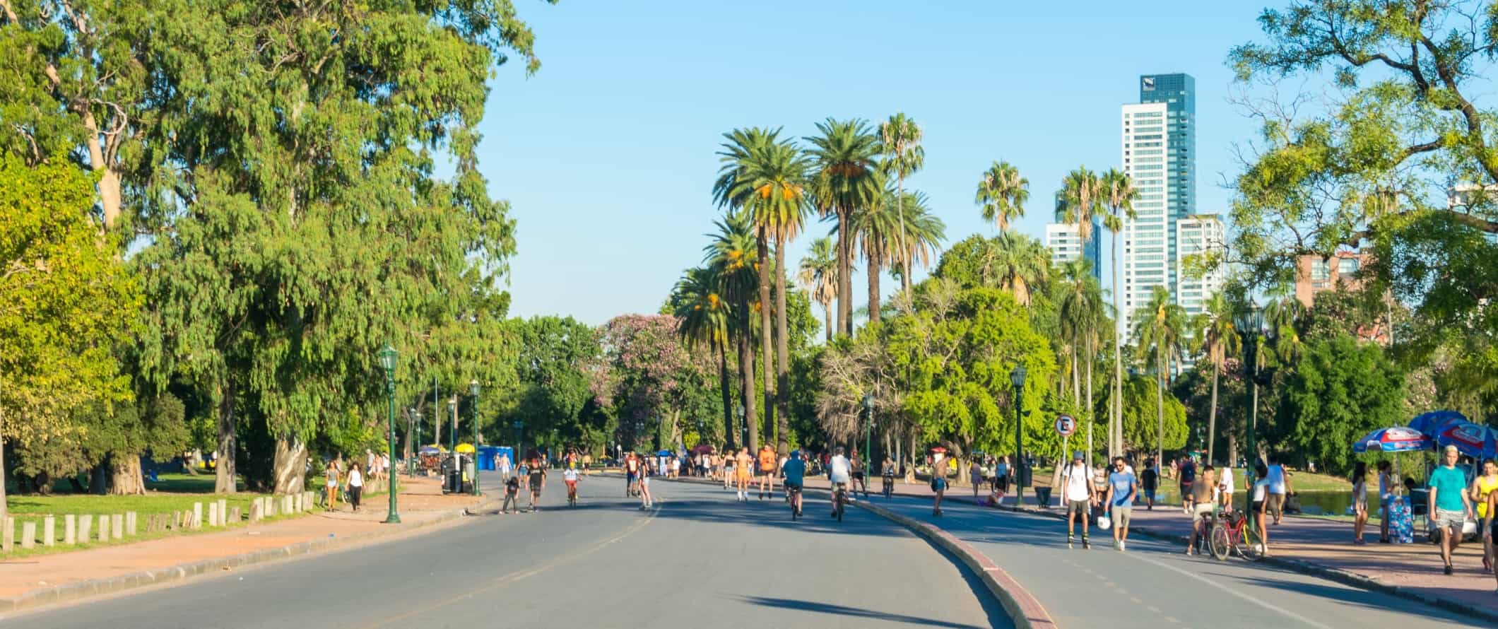 People walking and roller blading through a park filled with palm trees in Buenos Aires, Argentina