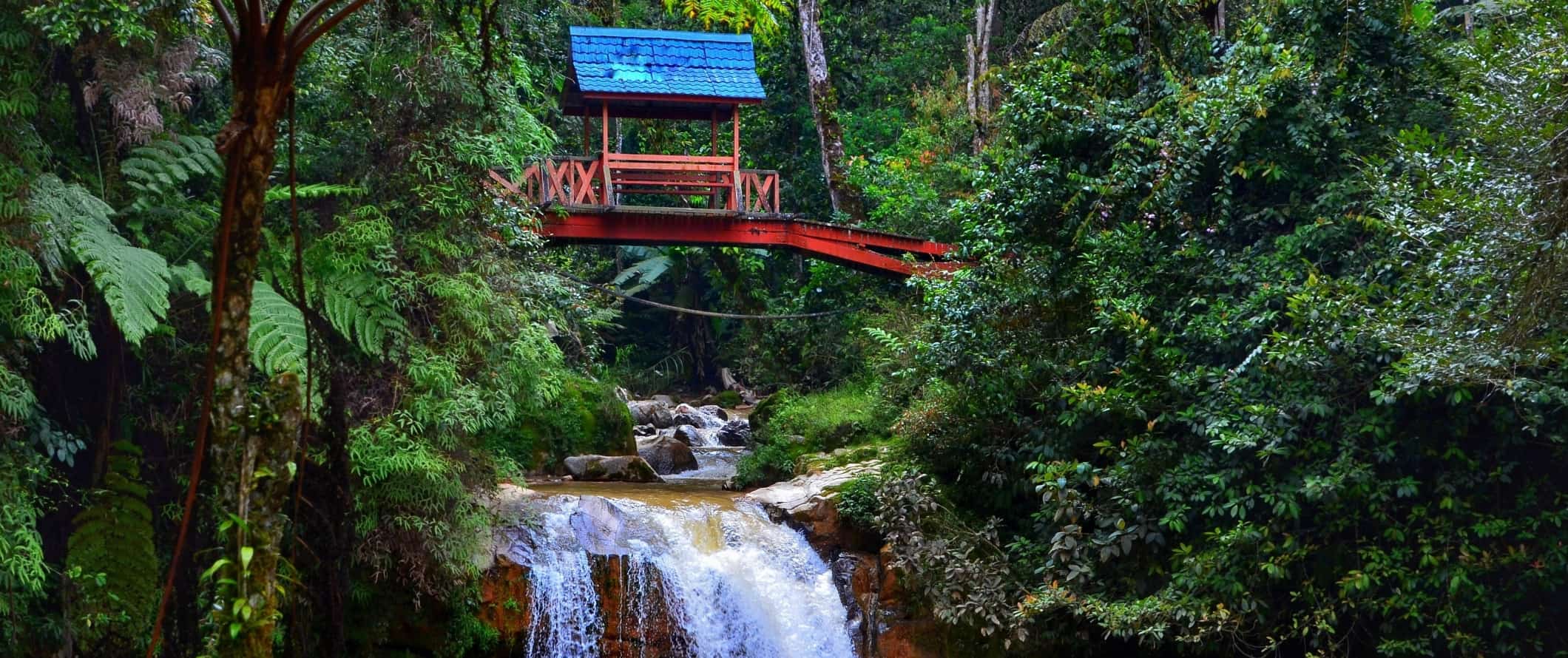 A red bridge crossing a river in the jungles of Cameron Highlands, Malaysia