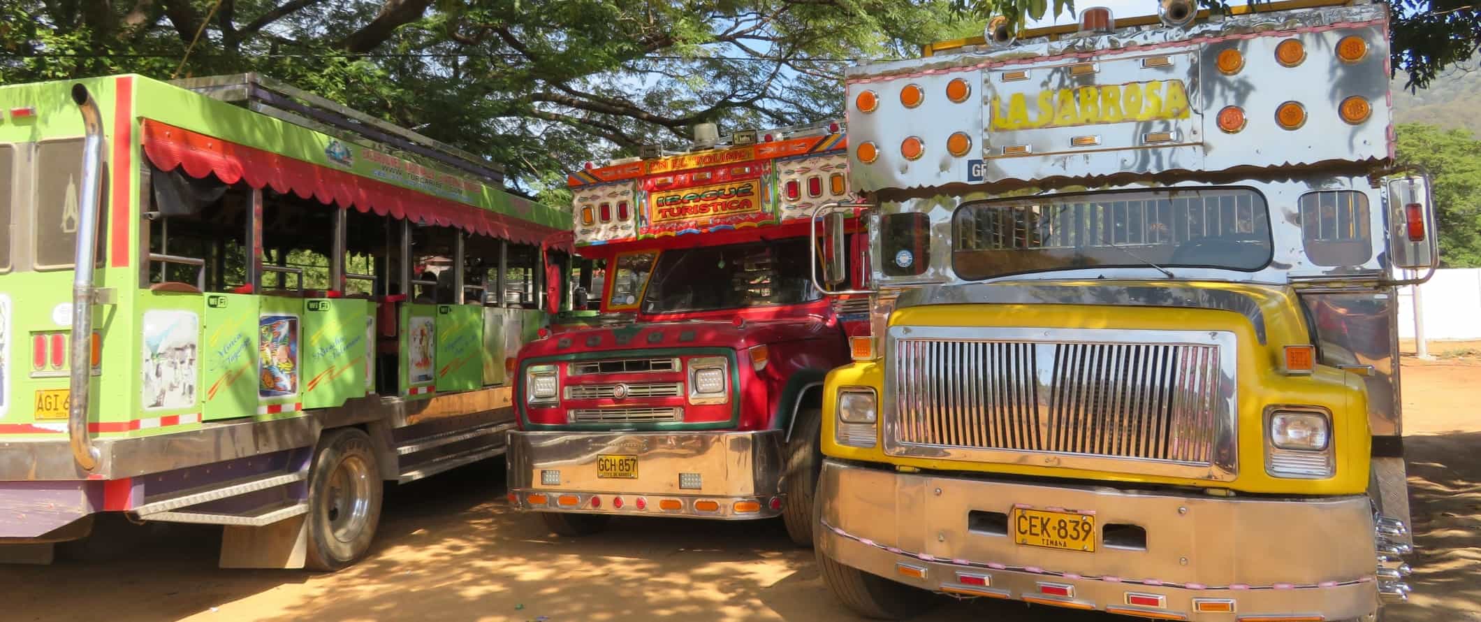 Brightly colored buses and trucks lined up under trees ready to take passengers throughout Colombia