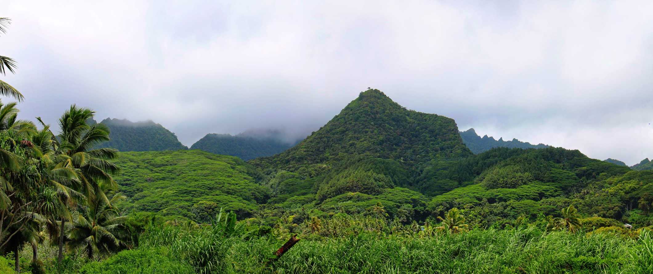 The lush forested mountains of the island of Rarotonga in the Cook Islands