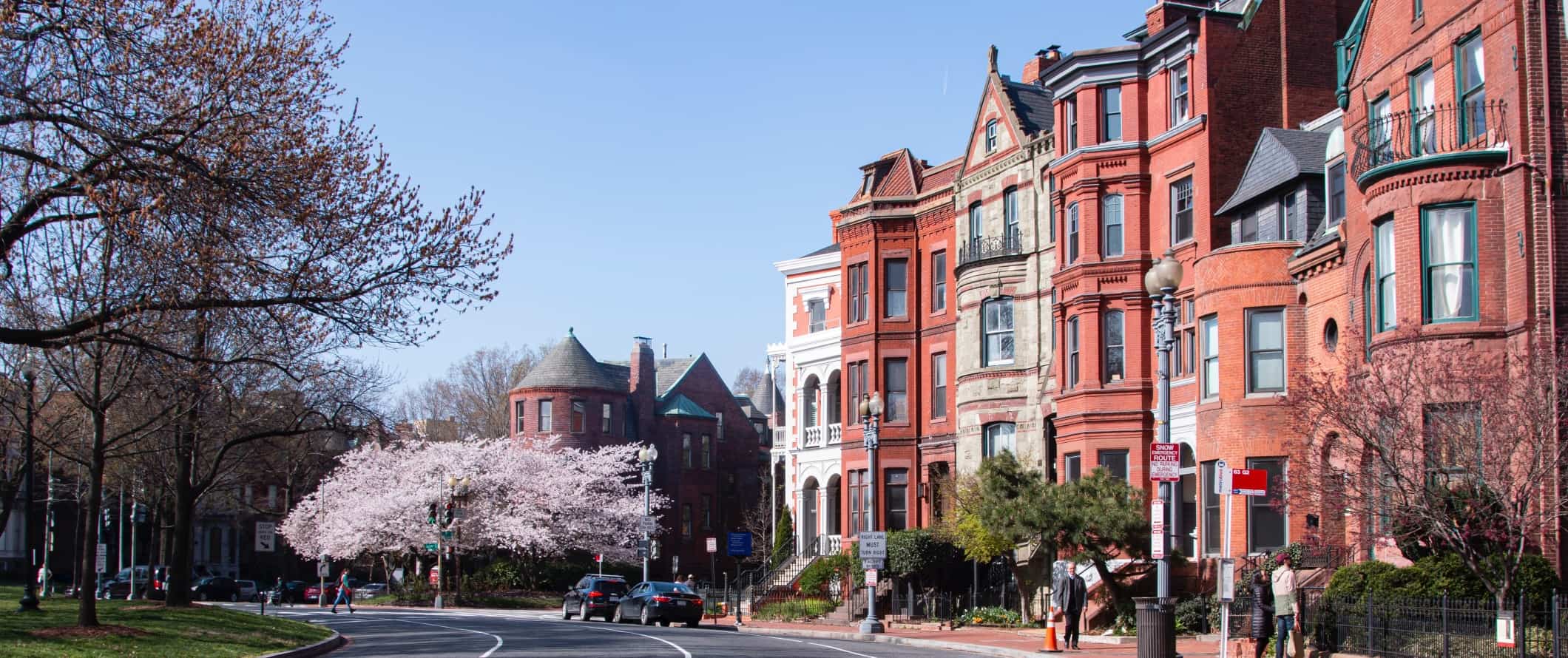 Historic red brick buildings and cherry blossoms in bloom in Washington, DC.