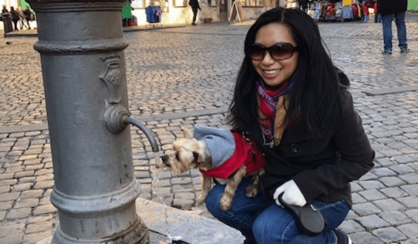 A solo female traveler traveling the world with her small dog who is drinking water from a fountain in Europe