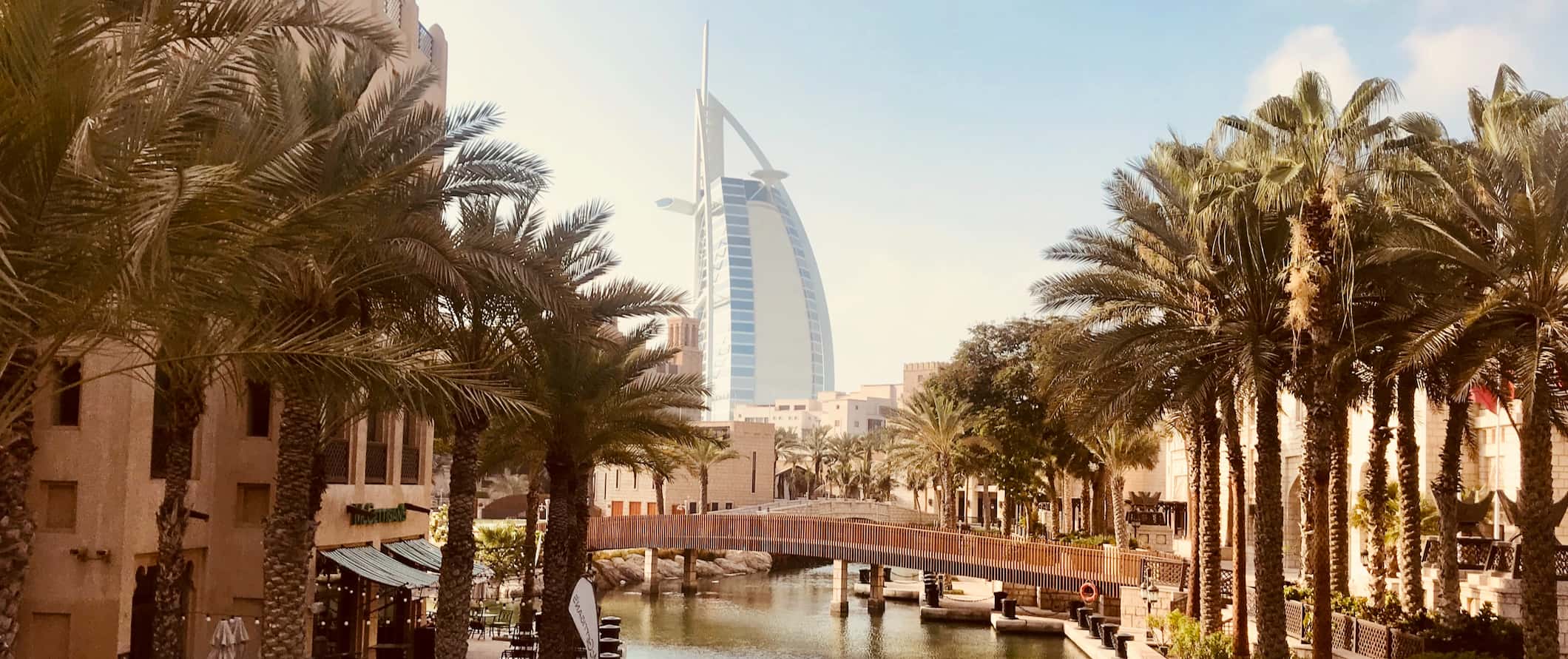 Trees lining a narrow waterway with towering buildings in the background in Dubai