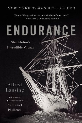 Endurance book cover