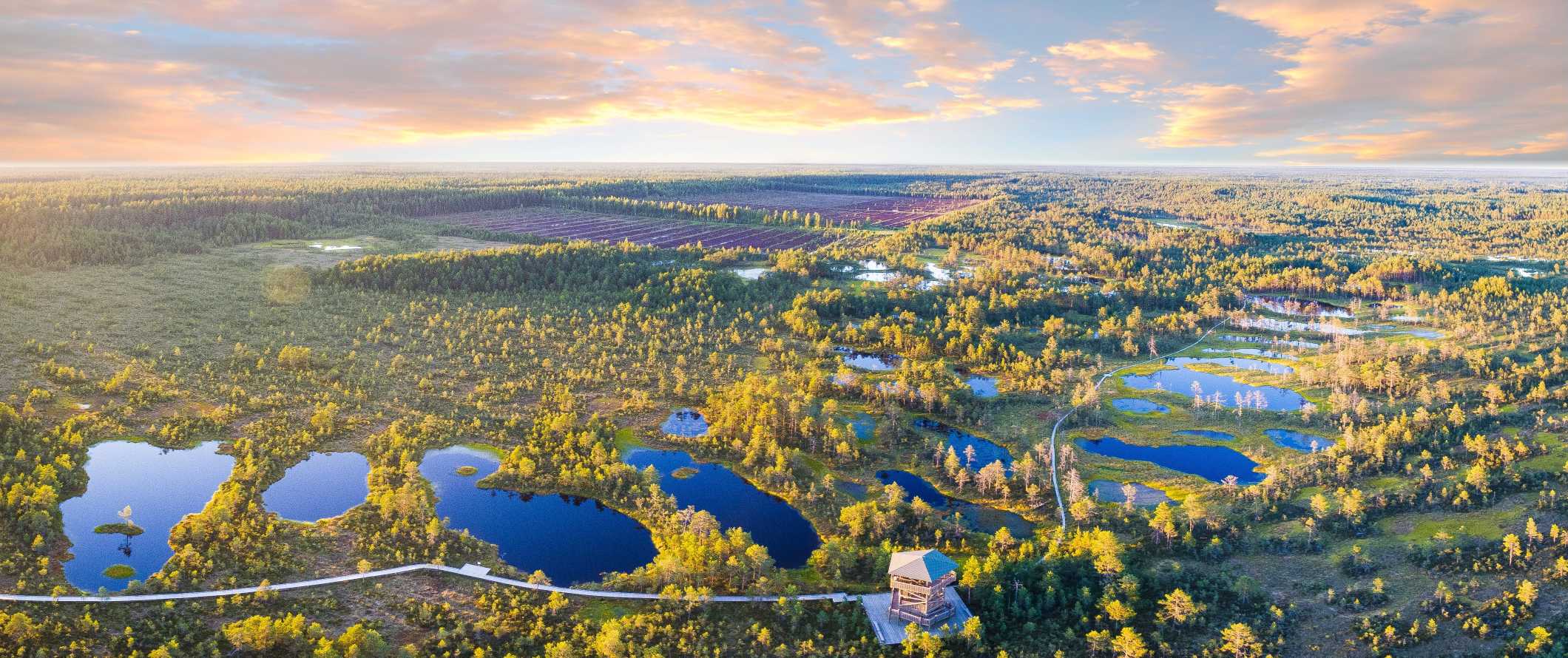 Panoramic view over lakes and bogs in Estonia