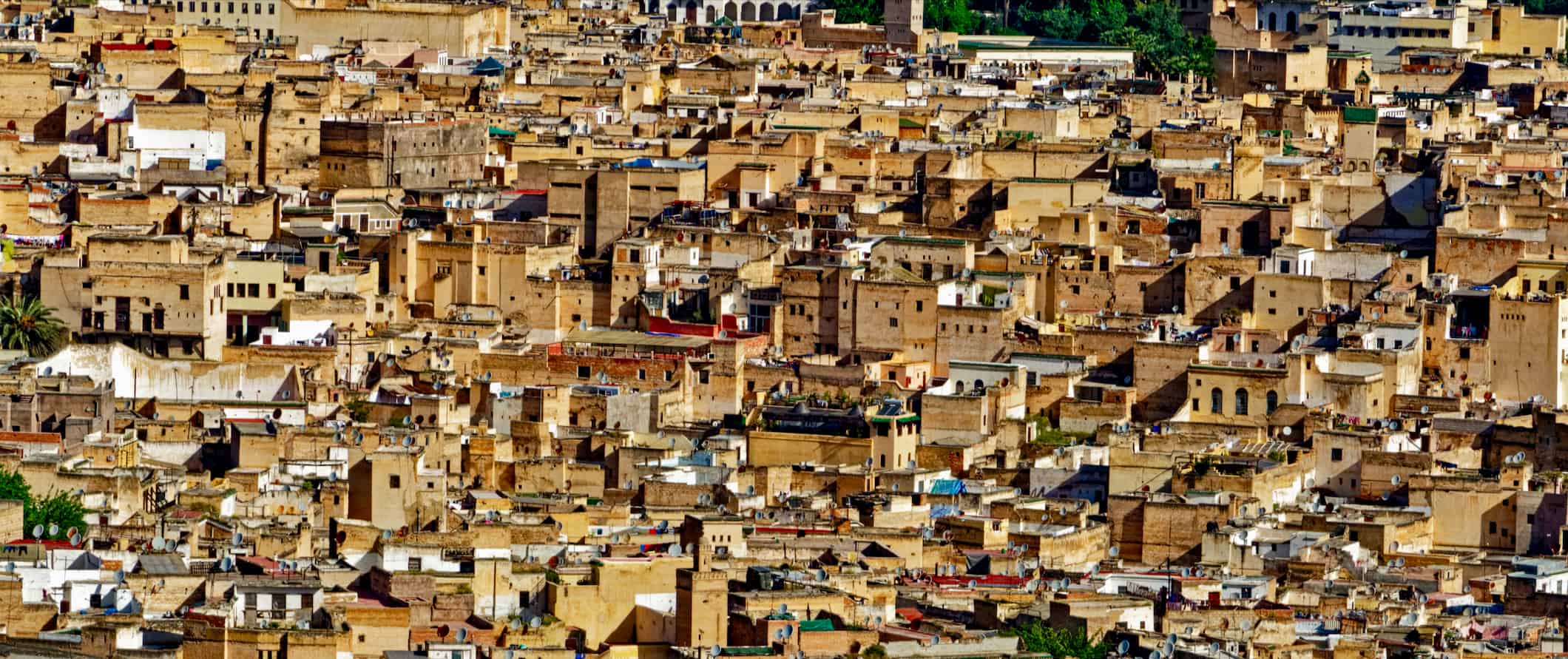 Sprawling traditional houses in cramped Fez, Morocco