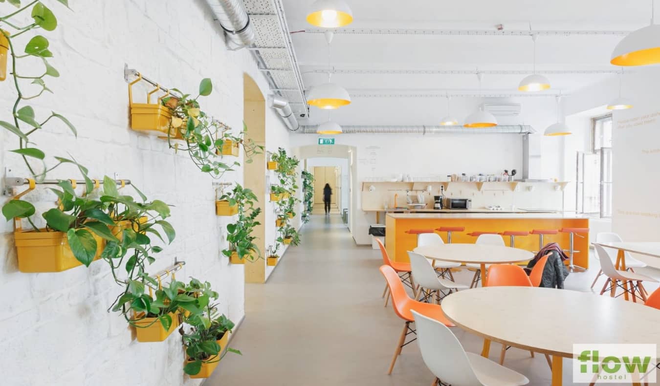 café and kitchen with orange tables and plants on the wall at Flow Spaces Hostel in Budapest