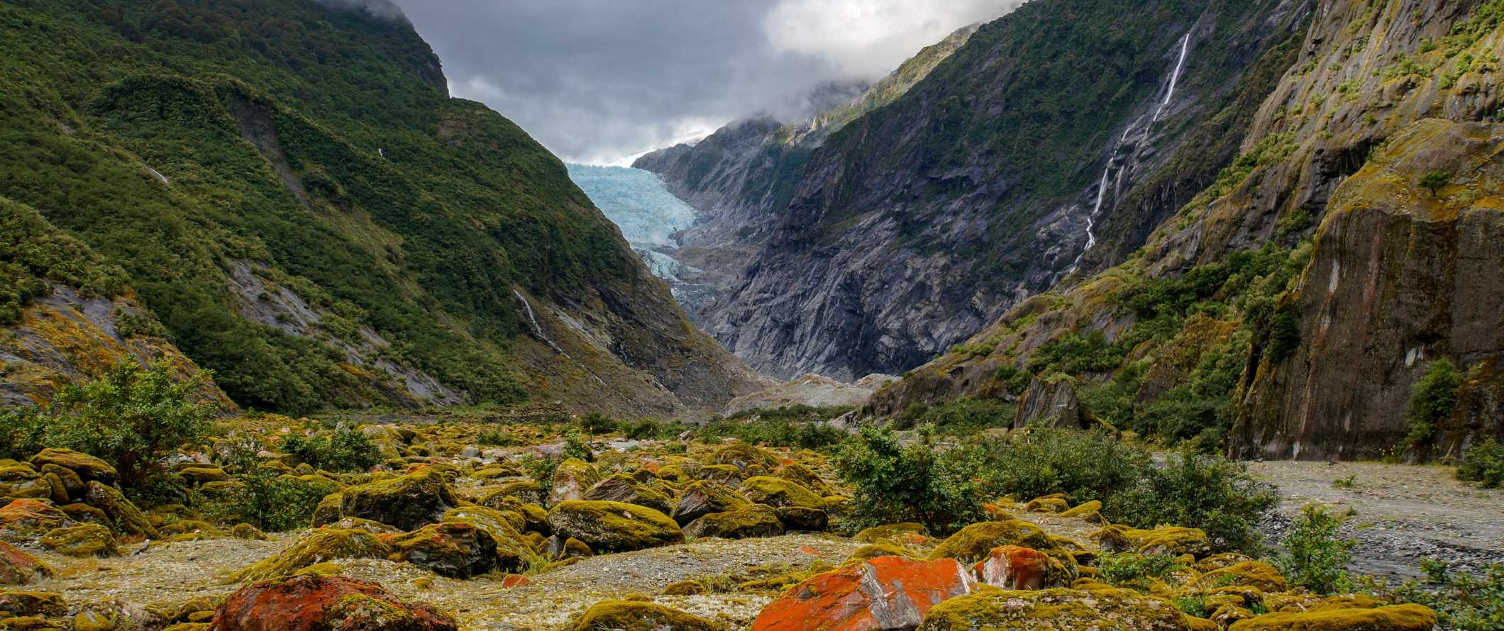 The Franz Josef glacier in summertime with lush greenery all around in New Zealand.