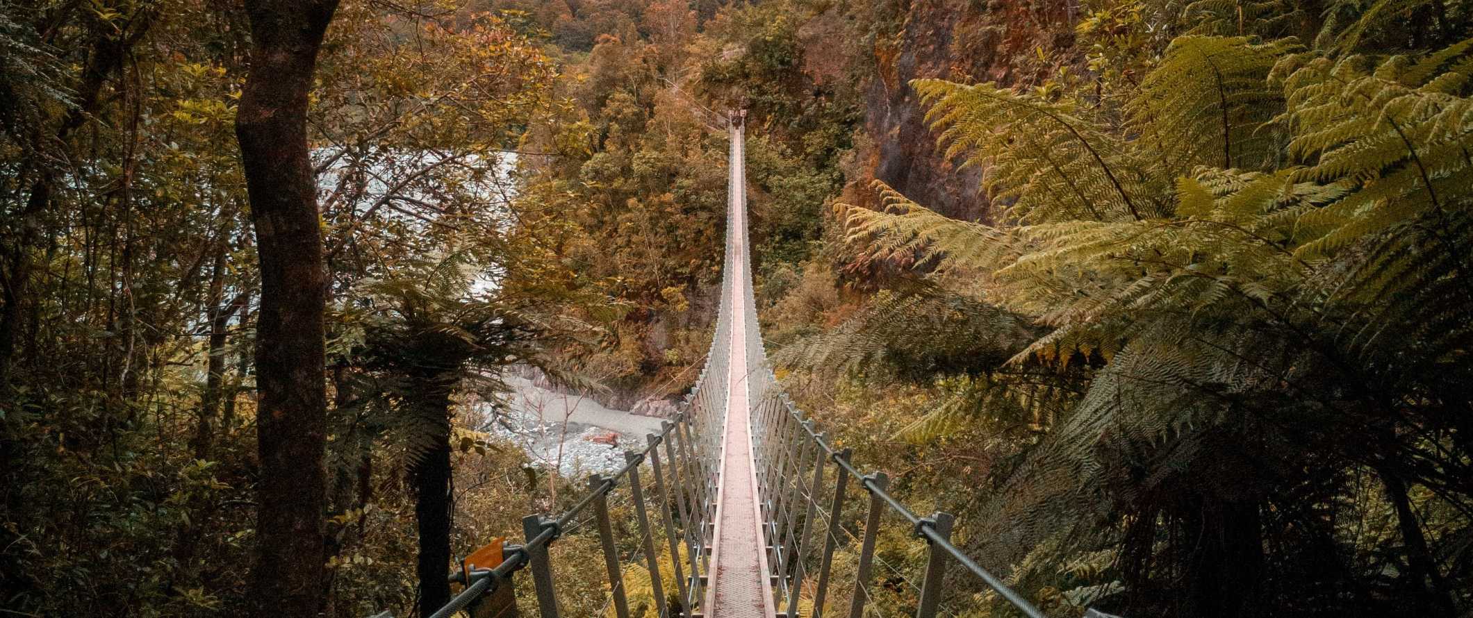 Historic swinging bridge through the lush canopy in Franz Josef, New Zealand.