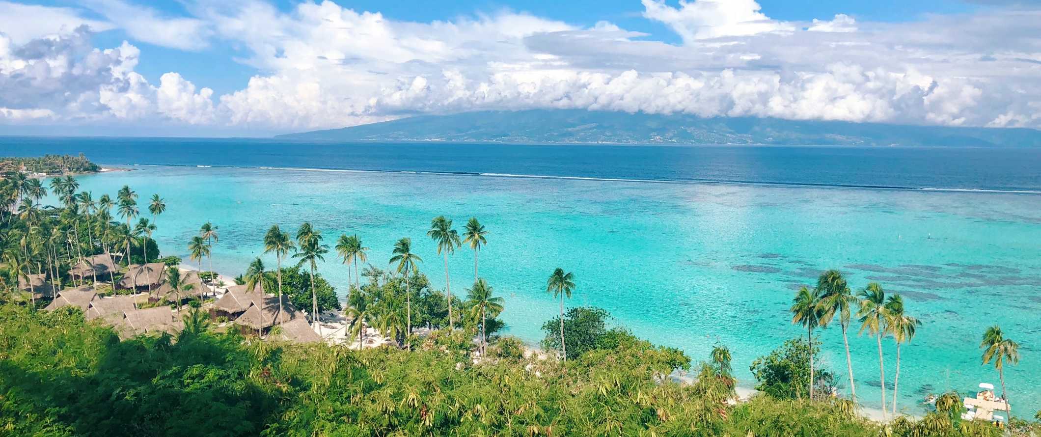 Aerial view of a palm tree-lined beach and the clear, bright turquoise waters of French Polynesia