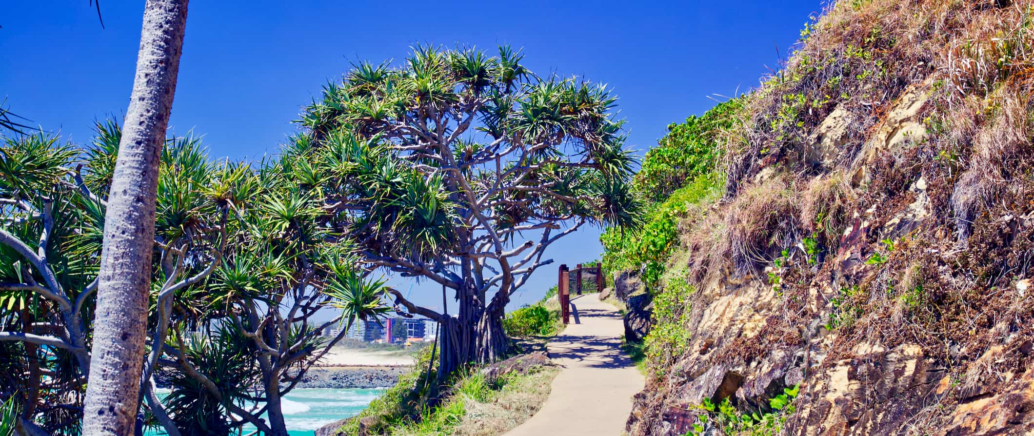 A narrow hiking path on a sunny day in Gold Coast, Australia