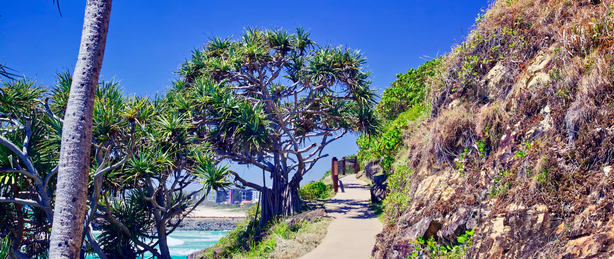 Best Hikes and Trails in Surfers Paradise Esplanade