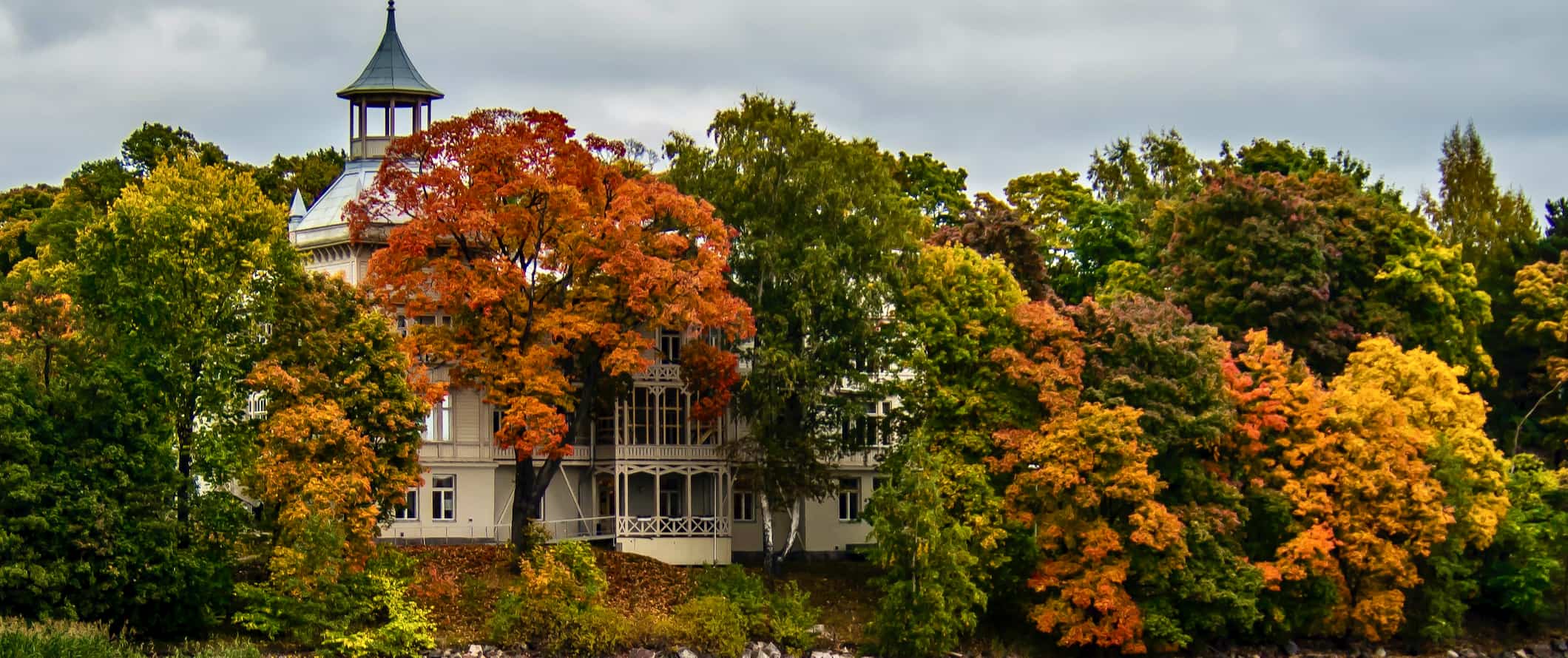 colorful leaves in a park in Helsinki, Finland in the autumn