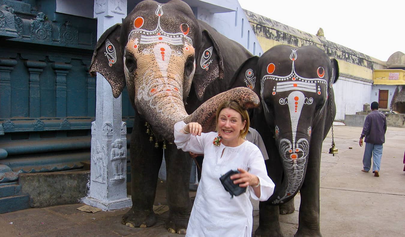 A solo woman in India standing near two painted elephants