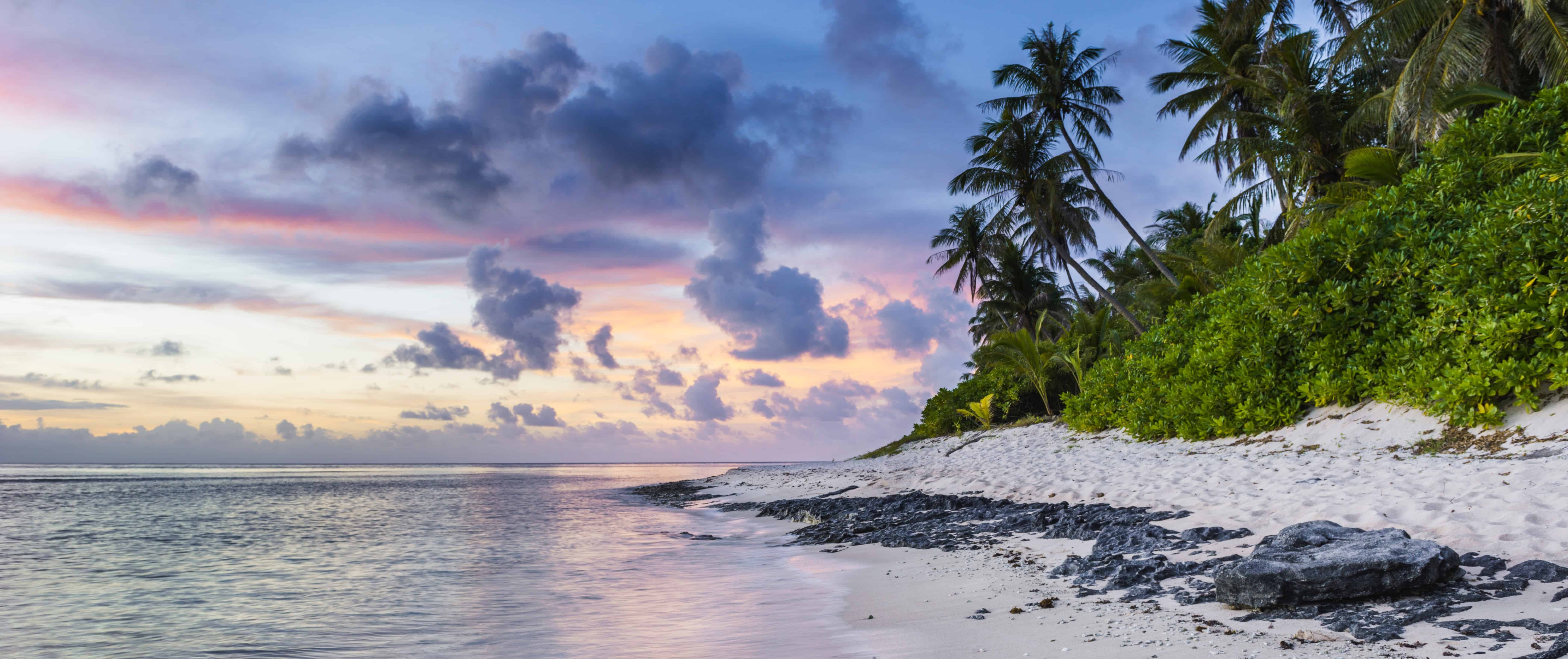 A white sand beach with palm trees at sunset in Jamaica