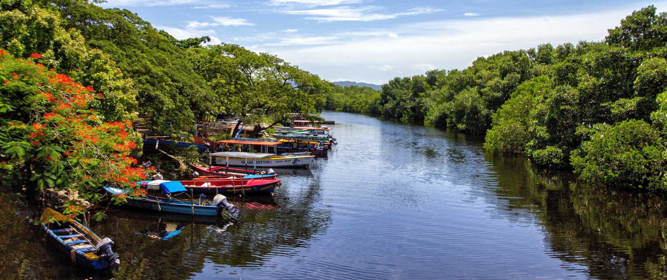 Boats parked along a waterway surrounded by greenery in Jamaica