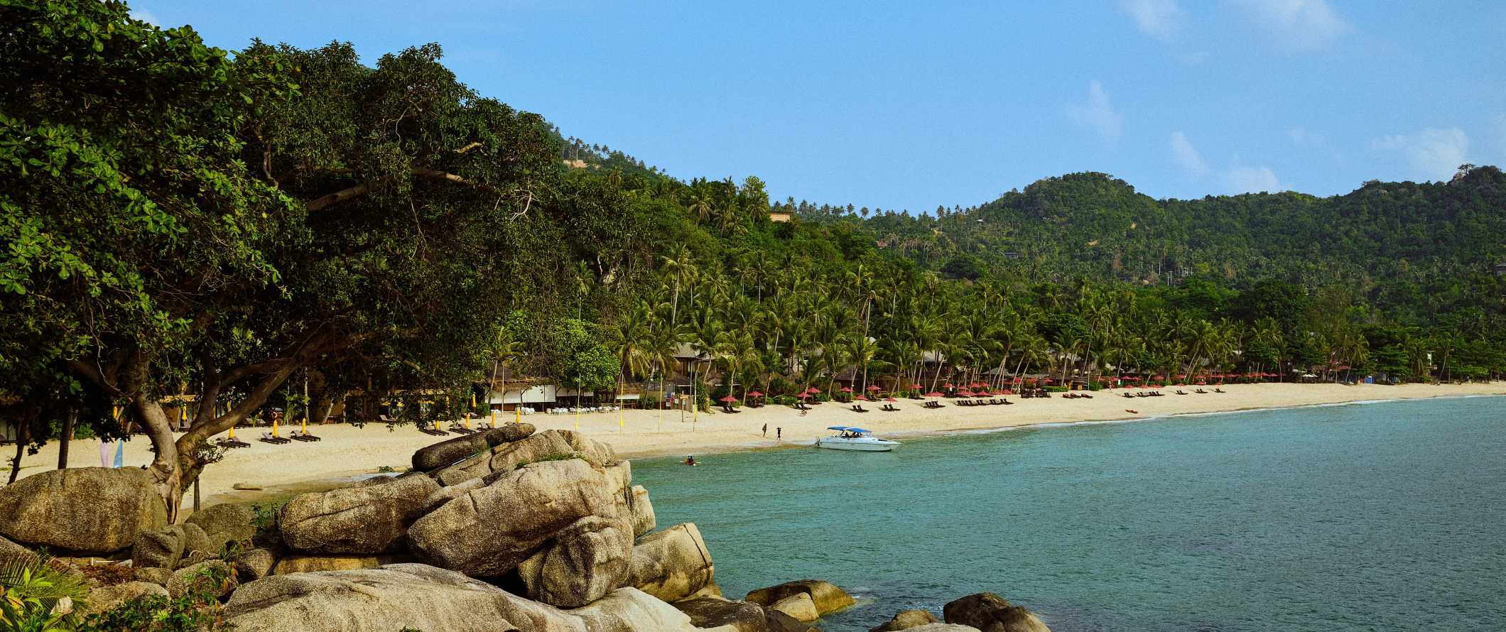 A sandy beach lined with lounge chairs and palm trees on the island of Ko Pha Ngan, Thailand at sunset over the ocean