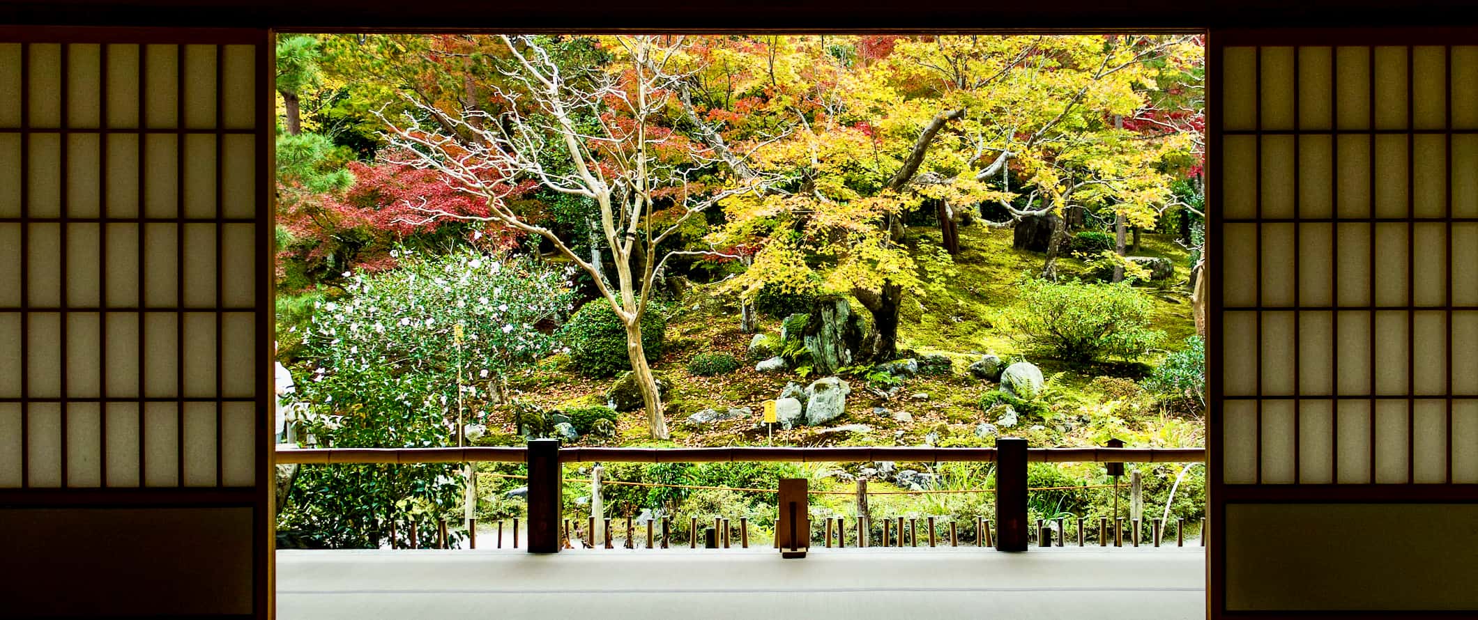 The scenic view from one of the many relaxing Buddhist temples in Kyoto, Japan