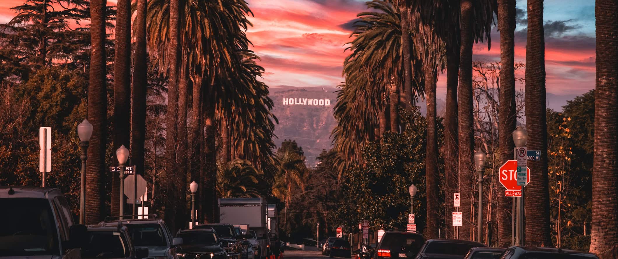 A palm-tree lined road in bustling Los Angeles, USA