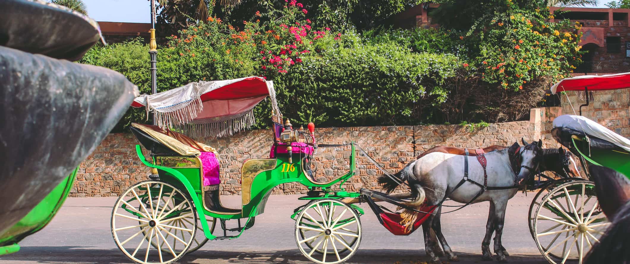 A horse and buggy parked on the side of the road in Marrakesh, Morocco