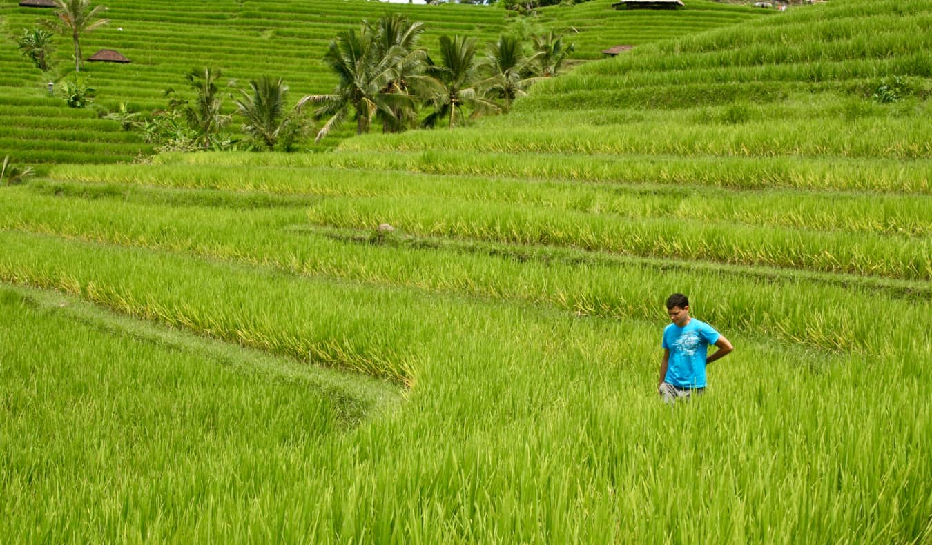 Nomadic Matt walking in a rice field in Vietnam while traveling solo