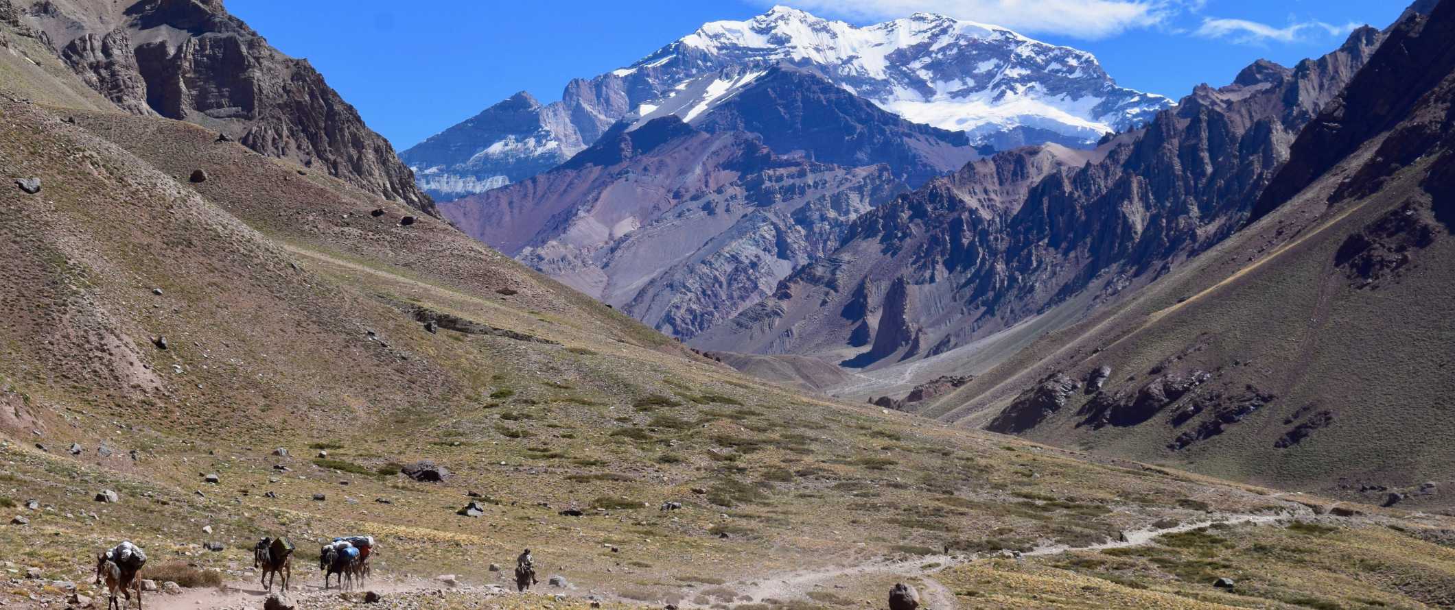 Pack-laden donkeys and people walking along a dirt path with towering mountains in the background near Mendoza, Argentina